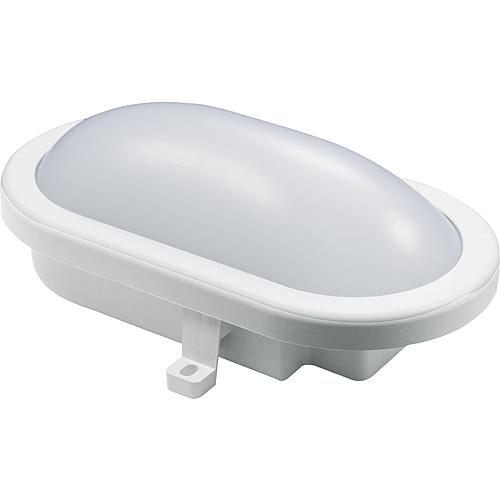 LED Oval - Armatur, Außenleuchte,  IP54 12W , weiß