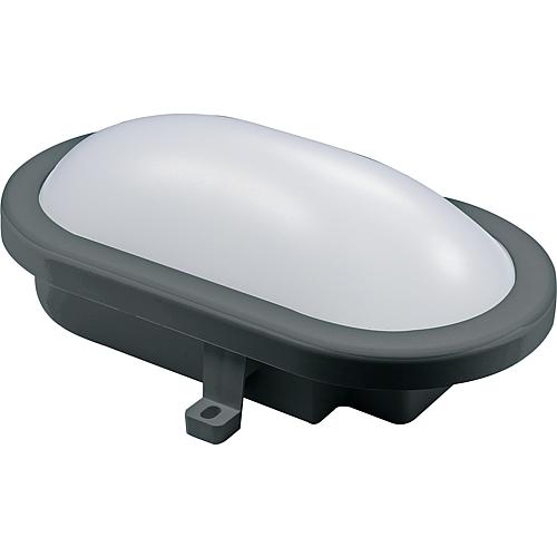 LED Oval - Armatur, Außenleuchte, IP54 12W 840lm 4000K, anthrazit